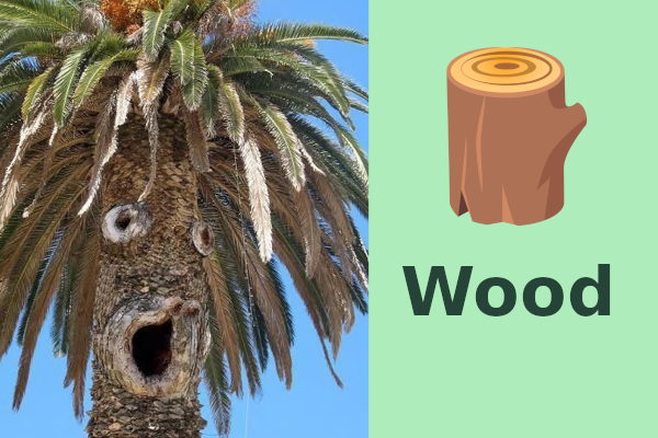 Wood - Farcaster Mini Apps